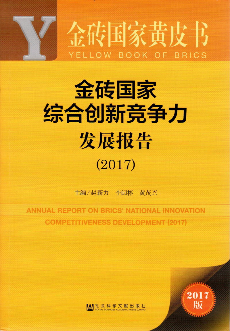 轻点操我逼视频金砖国家综合创新竞争力发展报告（2017）